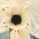 페이퍼플라워 힐링 클래스 이미지