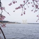 만억정흑염소 이미지