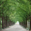 담양오방길3코스(습지길) 이미지