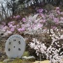 강변산소 이미지