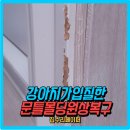 신반포동물병원 | 강아지가입질한문틀원상복구
