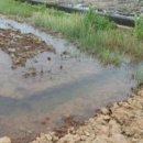 선돌이네 이미지