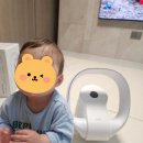 해원전력 | 애기, 반려동물 있는 집에서 많이 쓰는 선풍기
