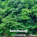 예치민박 이미지