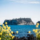 더 그랜드 이미지