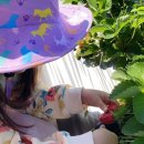 지아 농장 이미지