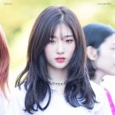 할스타일 이미지