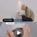 꼼꼼하개 이미지