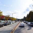 공영주차장옆길 이미지