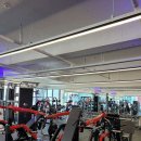 로그피트니스 이미지