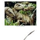 벨로시랩터 이미지