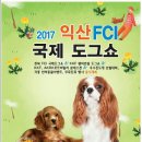 2017 KKF 익산 진도개 스페셜티 쇼(안내) 이미지