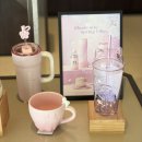 중앙로 R 스포츠타운길 | 춘천 스타벅스 더춘천더의암호R점 통창뷰에서 보는 체리블라썸 MD 내돈내산 후기