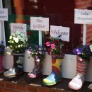 베스트유치원 이미지