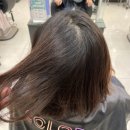 헤어칸토 | [서초/양재] 양재역 미용실 칸토헤어 시셰이도 염색 후기