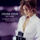 A New Day Has Come / Céline Dion 이미지