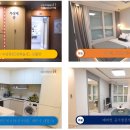 아델리아 이미지