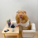 건강드림안마원 이미지