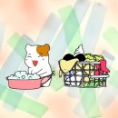 향기드라이크리닝 이미지