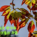 왔어요 이미지
