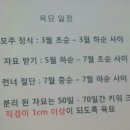 지량농장 네이버블로그