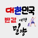밀양숲속마을영농조합법인 | 대한민국 반값여행 2026, 밀양 반값여행으로 경비 아끼고 알차게 놀다 오는 꿀팁 대방출
