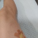 예맥당한의원 이미지