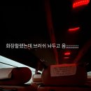 다영황 이미지