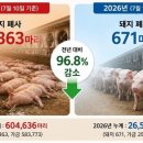 폭염 돼지 폐사 96.8% 급감...안도는 금물, 진짜 무더위 이제 시작 이미지