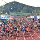 봉화공설운동장 이미지