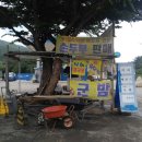 영장1리 이미지