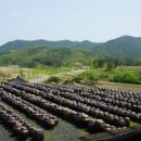 한우와 된장 이미지