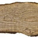 민 행정사 이미지