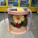 선원로 | 대구 용산동 그린프룻 과일박스 &amp; 무럭무럭 화분 센스 있는 집들이 선물 후기