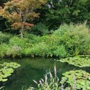 모네의 정원 이미지