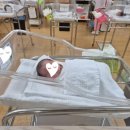 모아산부인과병원 이미지