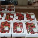 은구비남로(유성-40) 이미지