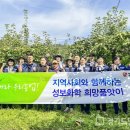 성보(성보화학) 이미지