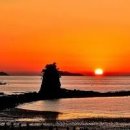 태안바다 이미지