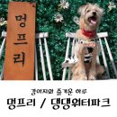 프리댕댕