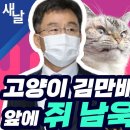 고양이 김만배 앞의 쥐 남욱 이미지
