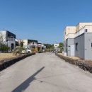 표선리-5 이미지