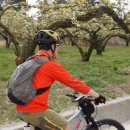 배꽃한우농장 이미지