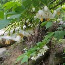 큰솔가든 이미지