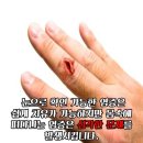 다이어트클럽 이미지