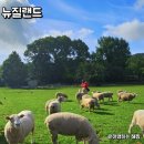 요셉농장 | 뉴질랜드 패키지여행 후기 아그로돔 스카이라인 곤돌라
