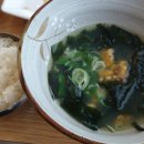 제주정지 이미지