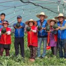 남밀양농협 이미지