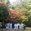 노전초등학교 이미지