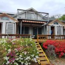 계곡힐링스카이 | 정선펜션 하늘나리펜션 구미정계곡펜션 정선단체펜션 자연 속 힐링 숙소 후기